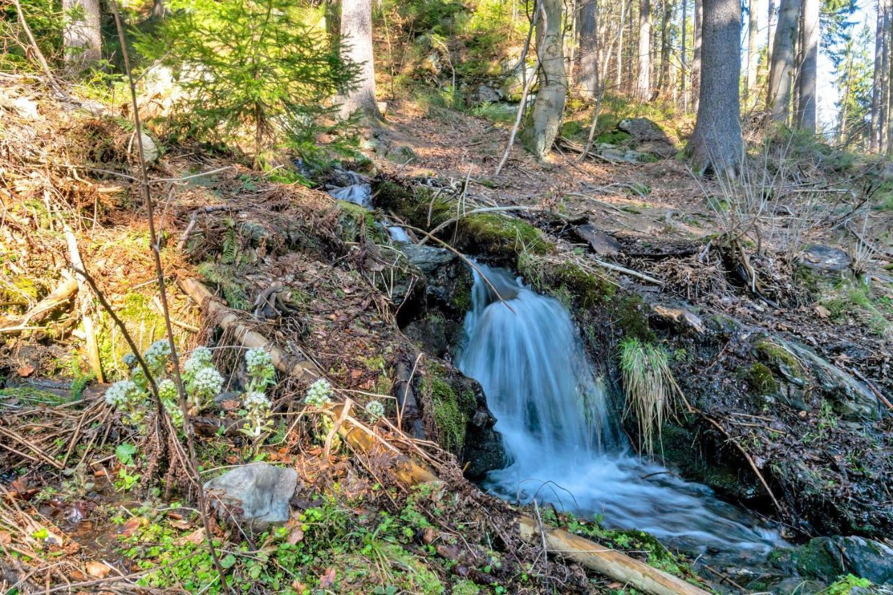 ホテル Penzion Horajda Vítkovice エクステリア 写真