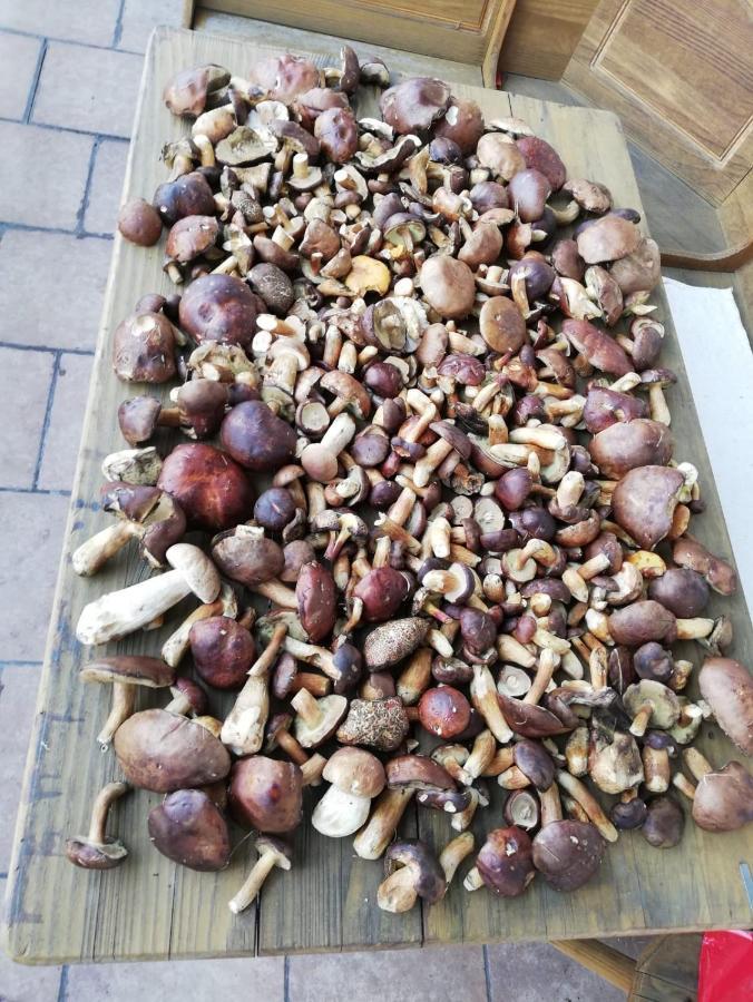ホテル Penzion Horajda Vítkovice エクステリア 写真
