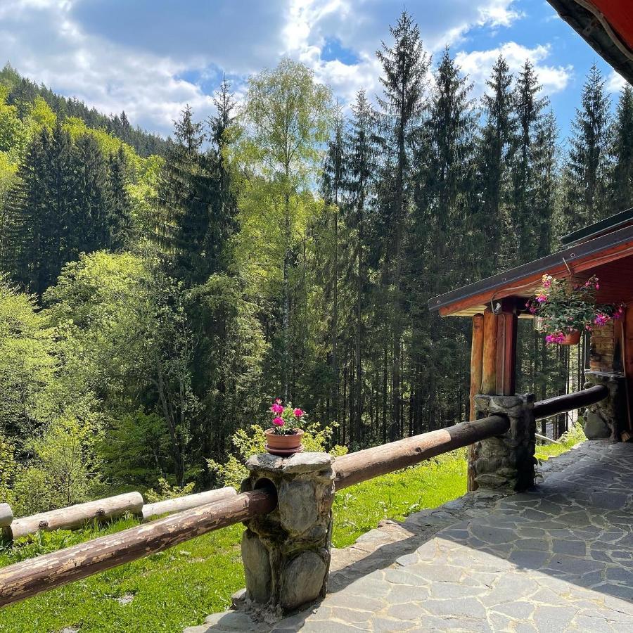 ホテル Penzion Horajda Vítkovice エクステリア 写真