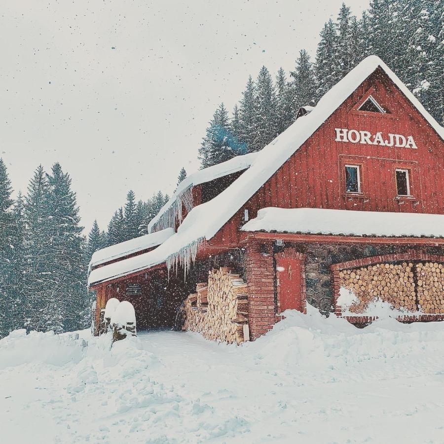 ホテル Penzion Horajda Vítkovice エクステリア 写真
